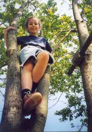 Foto di Eleonora su un albero